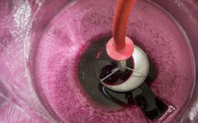 Importance de la maîtrise de l’O2 durant la vinification