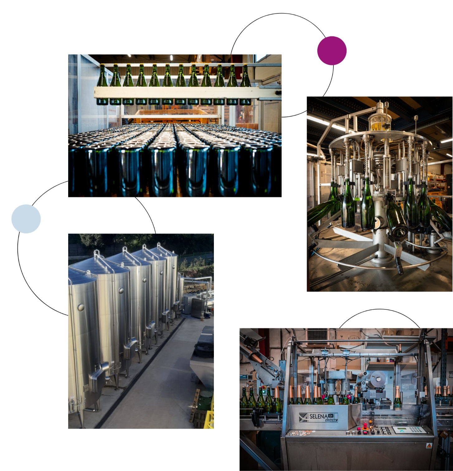 Groupe 269 (1) images cuves vin